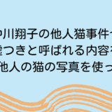 中川翔子の他人猫事件や過去の嘘つきと呼ばれる内容を解説！本当に他人の猫の写真を使ったの？
