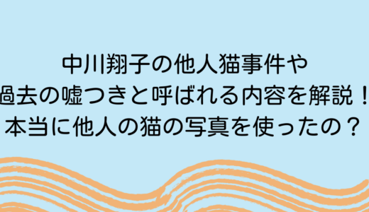 中川翔子の他人猫事件や過去の嘘つきと呼ばれる内容を解説！本当に他人の猫の写真を使ったの？