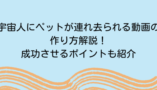 宇宙人にペットが連れ去られる動画の作り方解説！成功させるポイントも紹介