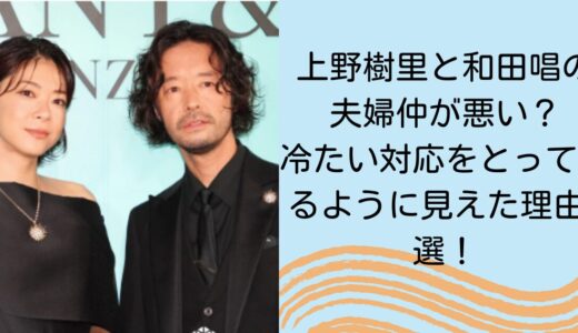 上野樹里と和田唱の夫婦仲が悪い？冷たい対応をとっているように見えた理由3選！