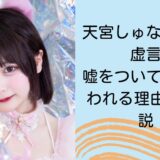 天宮しゅなの発言は虚言？嘘をついていると言われる理由を5つ解説！