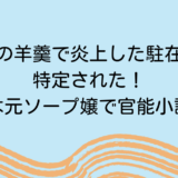 とらやの羊羹で炎上した駐在員妻が特定された！正体は元ソープ嬢で官能小説家！