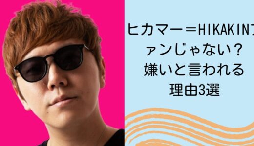 ヒカマー＝HIKAKINファンじゃない？嫌いと言われる理由3選