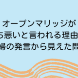 ヒカル夫婦の発言から見えた問題点とは
